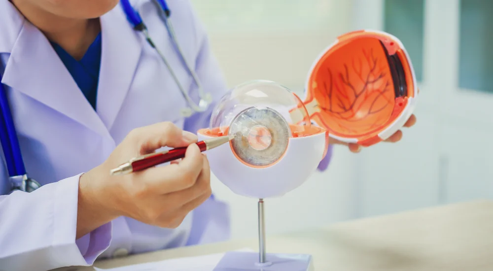 Diabetic Eye Exams and Retinal Evaluations