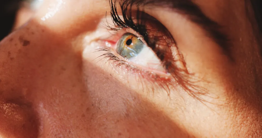 Flashes and Floaters Evaluation